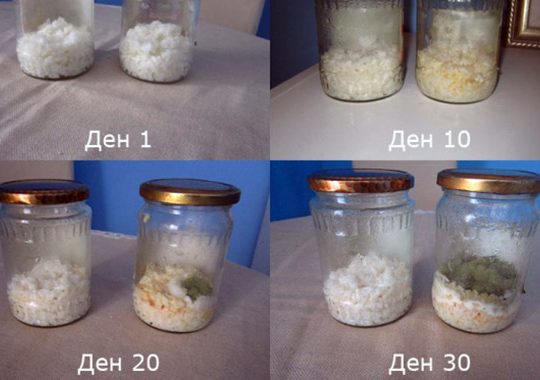 Силата на емоциите и съзнанието. Експеримент с достоверни резултати!